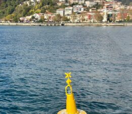 İstanbul Boğazı’ndaki deniz çayırları şamadıralarla korunuyor