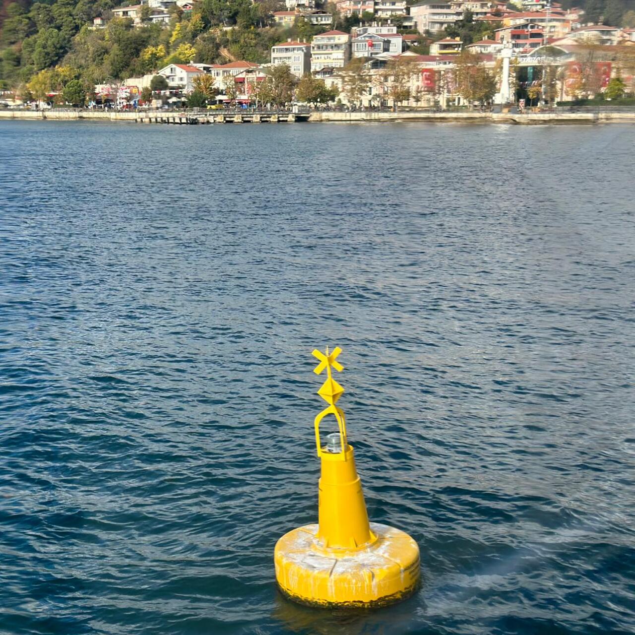 İstanbul Boğazı’ndaki deniz çayırları şamadıralarla korunuyor