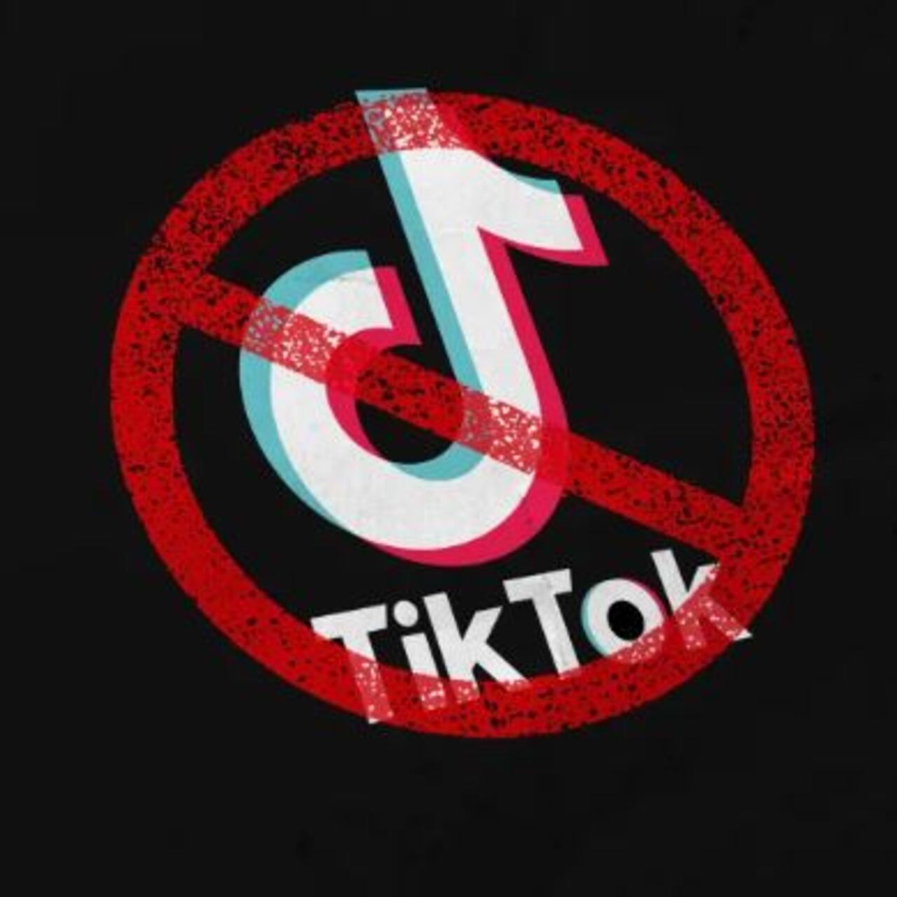 Arnavutluk’ta TikTok yasağı