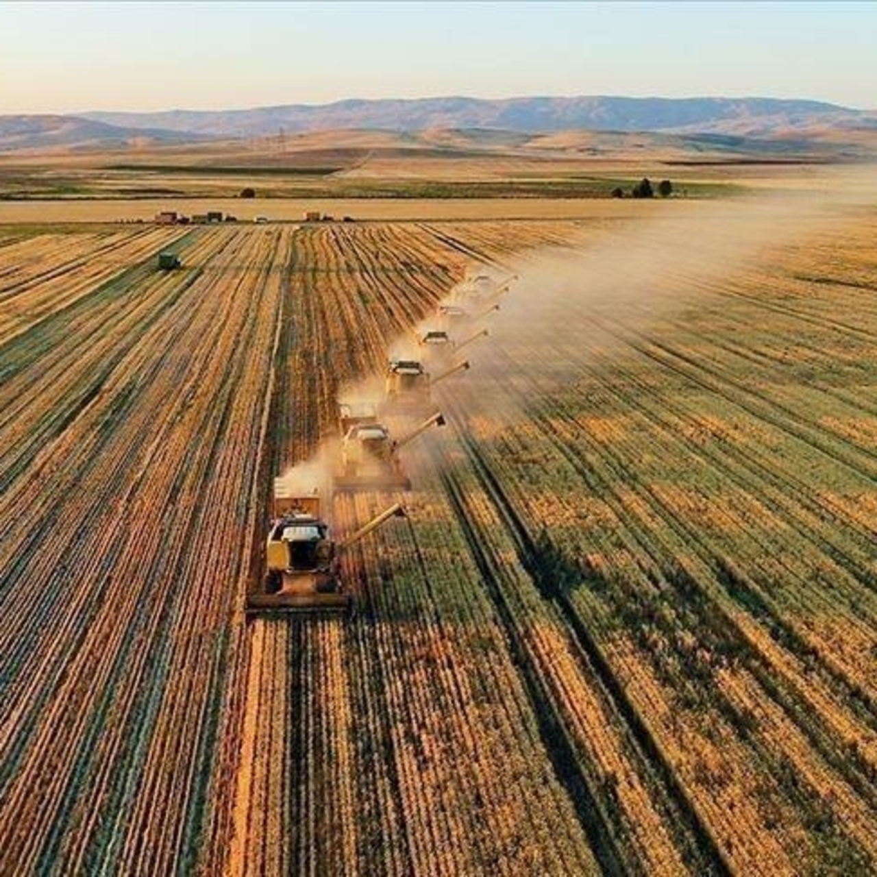 Bugün hesaplara yatıyor! Tam 323,7 milyon lira destekleme yapılacak