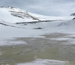 Yaşam için elverişsiz olduğu düşünülüyordu: Buzun altındaki gizli hayat!