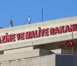 Yaşam koçları Maliye kıskacında