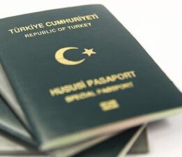 Yeşil ve gri pasaportta sistem gerçekten değişecek mi?