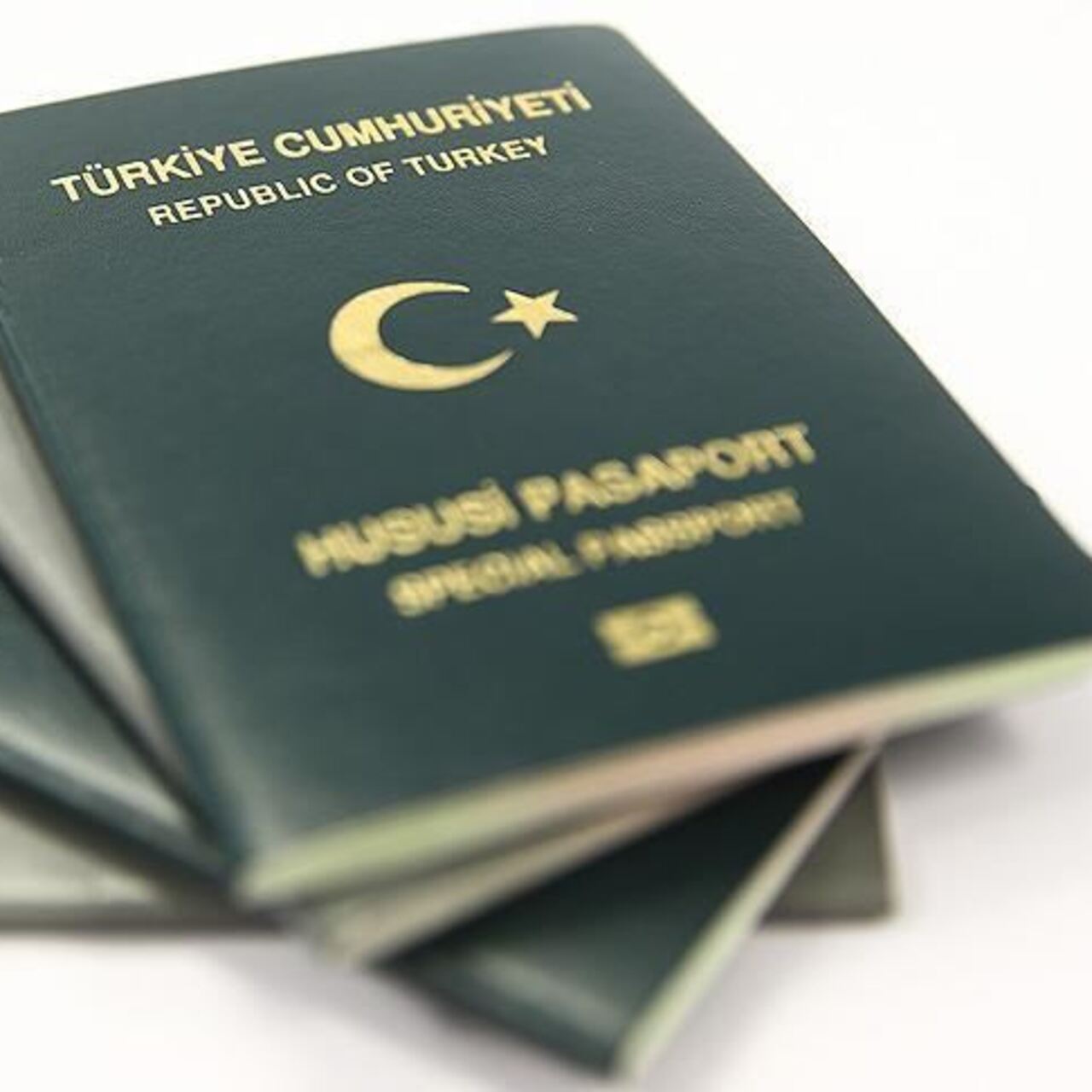 Yeşil ve gri pasaportta sistem gerçekten değişecek mi?