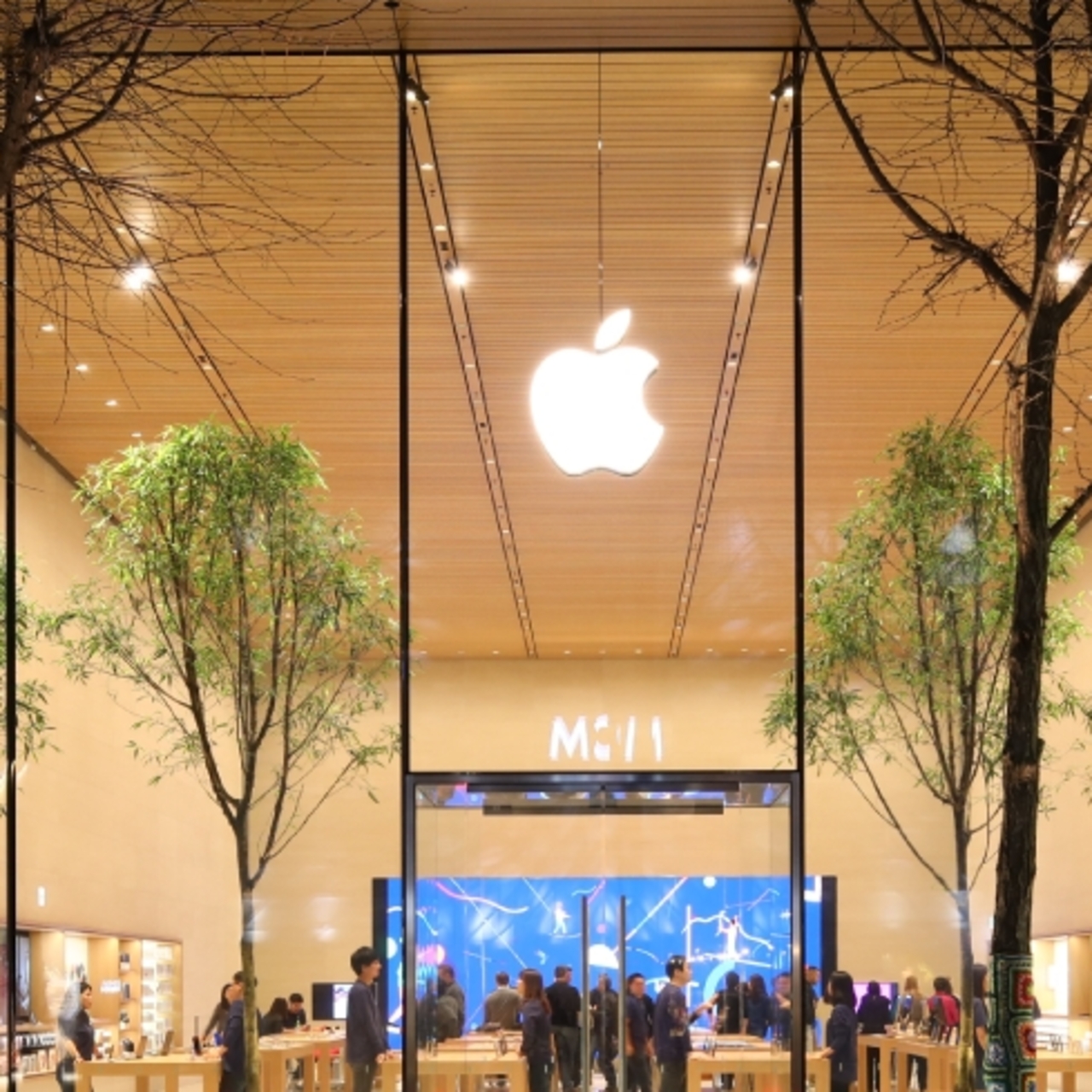 Apple 1 günde 310 milyar dolar eridi