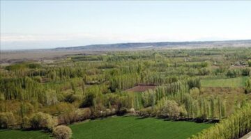 2B arazi nedir?
