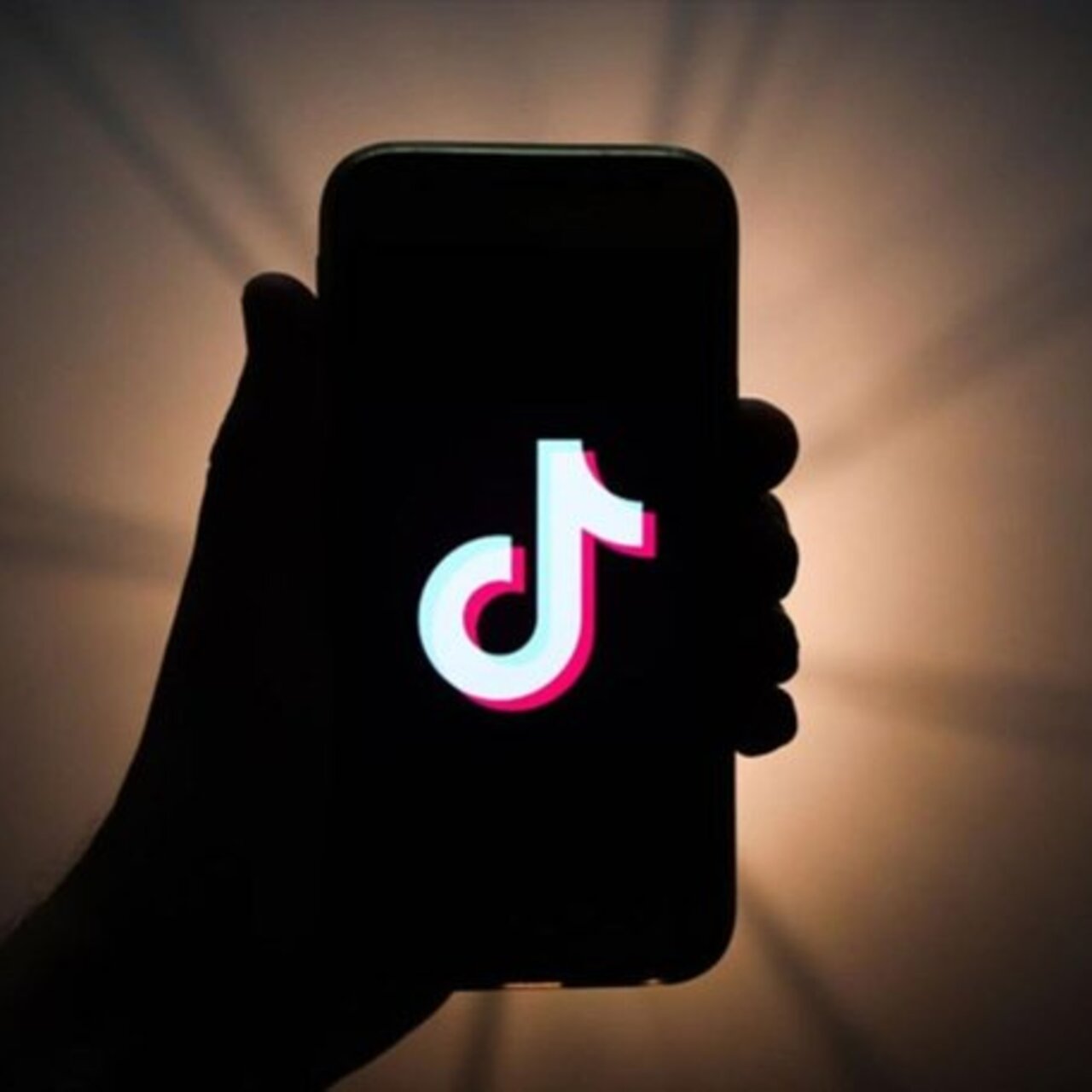 AB’den TikTok’a 530 milyon Euro ceza